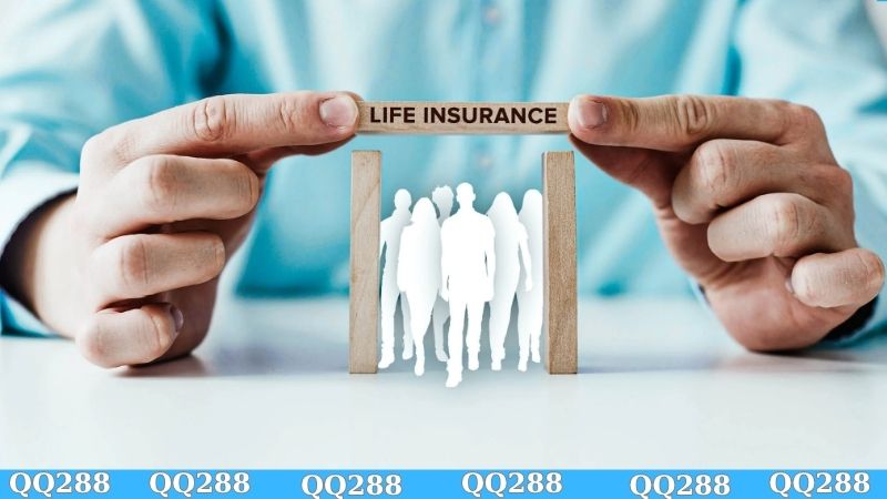 Quyền lợi và nghĩa vụ tại điều khoản sử dụng